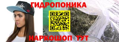 МДПВ Кингисепп
