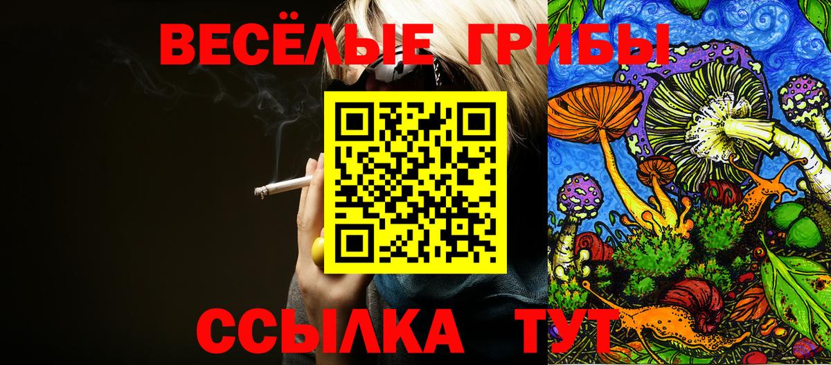 Галлюциногенные грибы Psilocybe Кинель